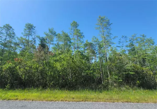 9385 ATLANTA DR, Saint Cloud, FL 34773