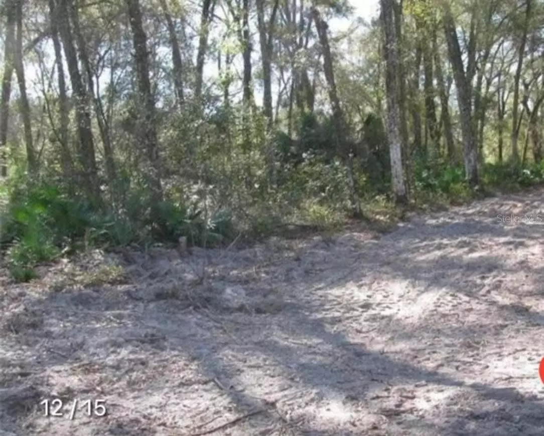 Summerfield, FL 34491,TBD SE 143RD PL LOT 12