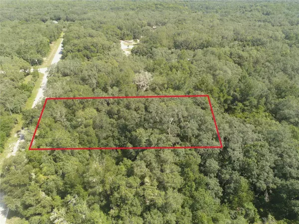 Webster, FL 33597,TBD WICKSHIRE ST