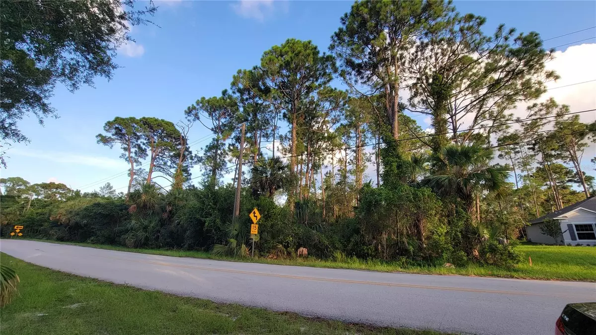 Edgewater, FL 32141,ARTHUR