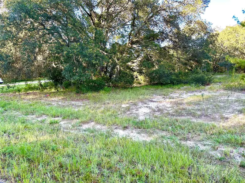 SW 131ST LN, Ocala, FL 34473