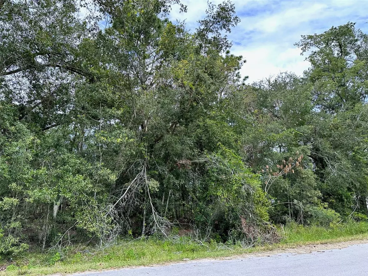 Summerfield, FL 34491,SE 94TH TERRACE