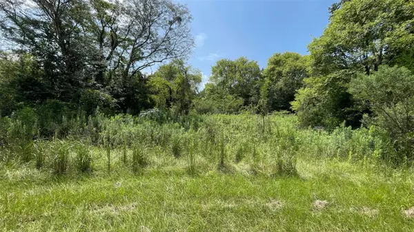 00 SW SEDGEFIELD FARMS GLN, Fort White, FL 32038