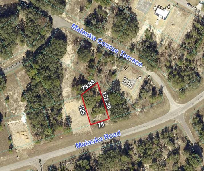 257 MALAUKA RD, Ocklawaha, FL 32179