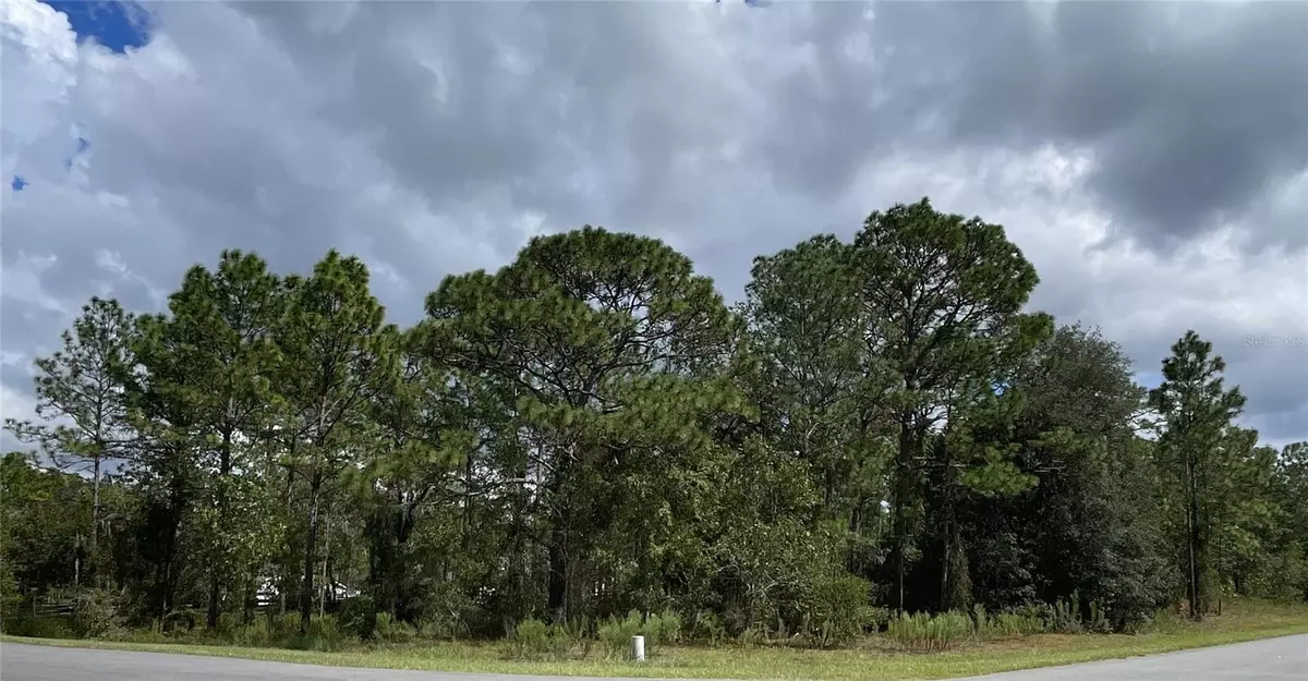 Wildwood, FL 34785,COUNTY ROAD 243A #Lot 23