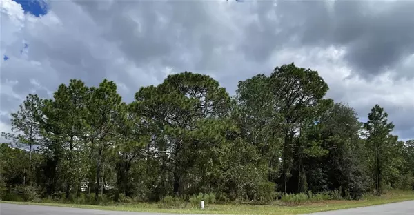 COUNTY ROAD 243A #Lot 23, Wildwood, FL 34785