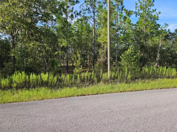 Dunnellon, FL 34431,TBD SW COTTONWOOD LANE