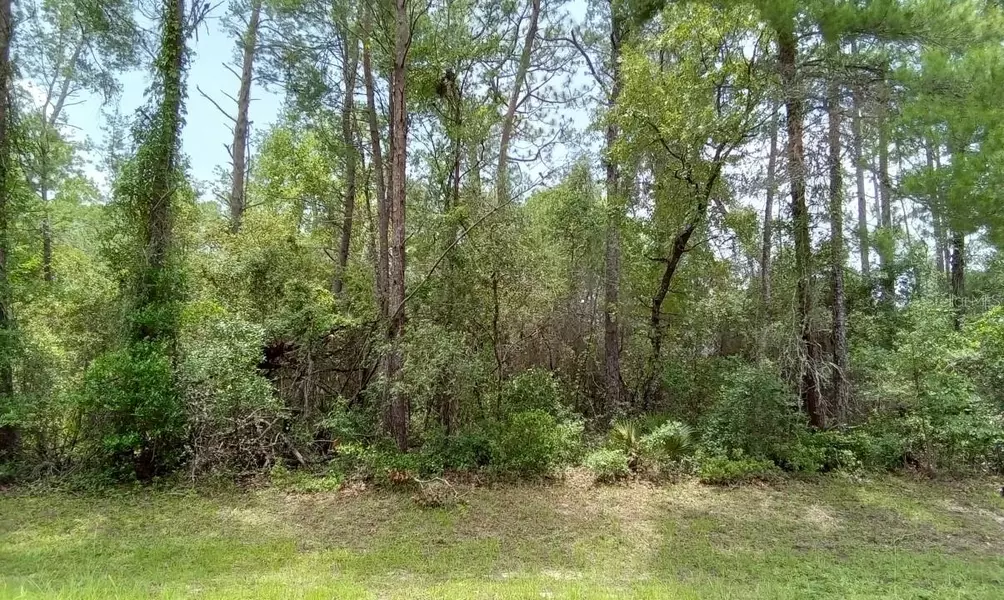 0 SW 151 PL, Ocala, FL 34473