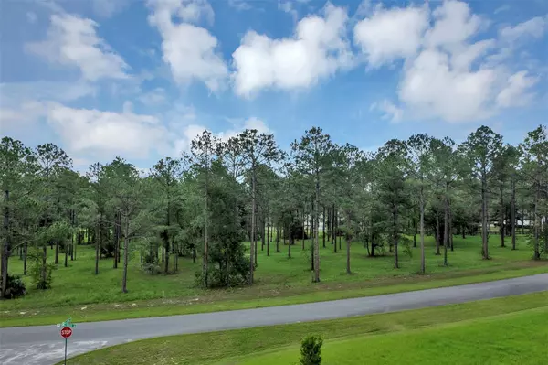 Eustis, FL 32736,35708 GREEN FOREST DR