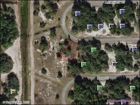 Poinciana, FL 34759,357 AMBERJACK CT