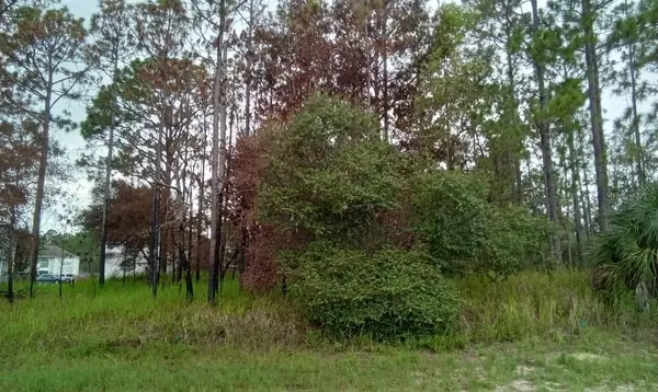 5 BAHIA RD,  Ocala,  FL 34472