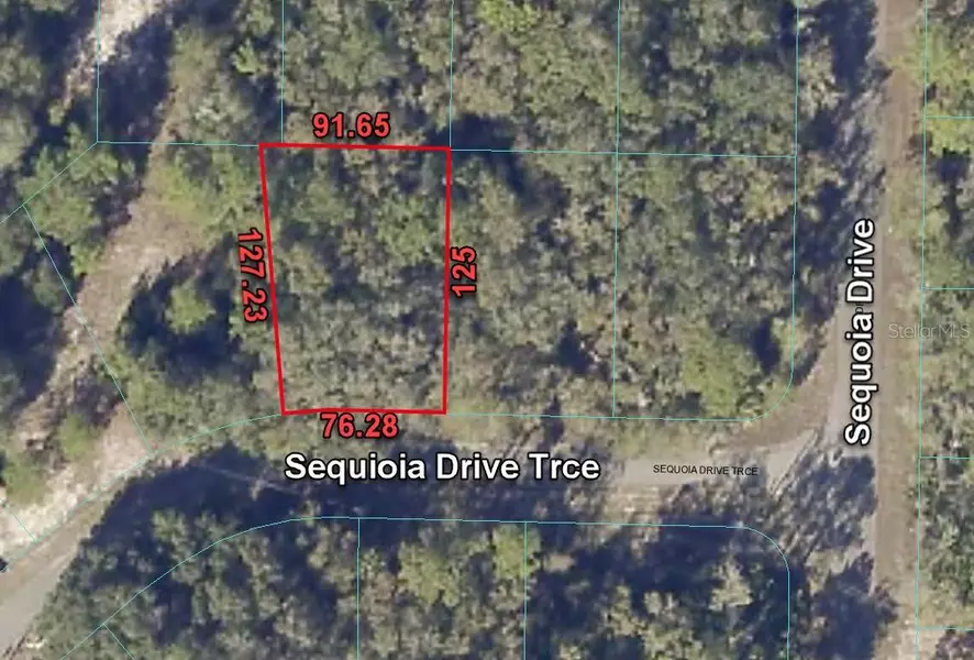 5 SEQUOIA DRIVE TRCE, Ocklawaha, FL 32179