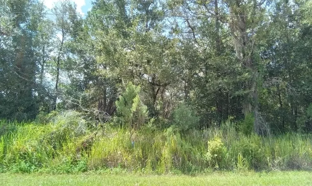 0000 HEMLOCK RADIAL TRL, Ocala, FL 34472