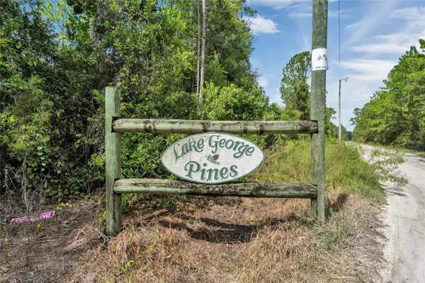 Pierson, FL 32180,289 OLD BUBBLY RD