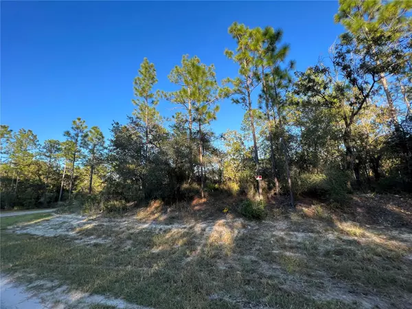 Ocala, FL 34473,TBD SW 151ST PL