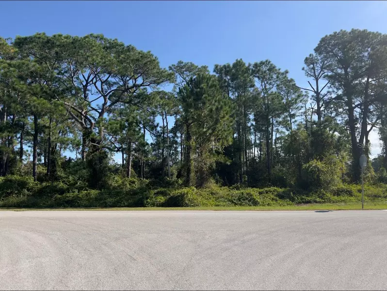 ARROWTREE BLVD, Clermont, FL 34715