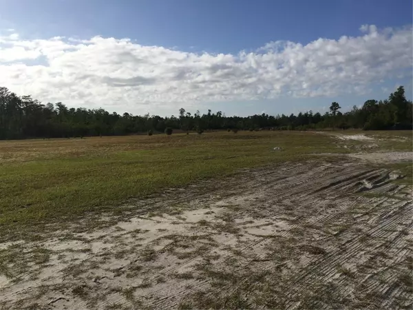 Osteen, FL 32764,345 BLACKLAKE RD