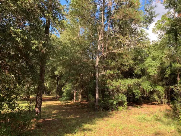 Eustis, FL 32736,24148 DEEP SPRINGS LOOP