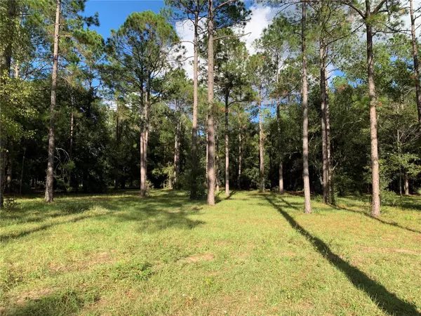 Eustis, FL 32736,24148 DEEP SPRINGS LOOP