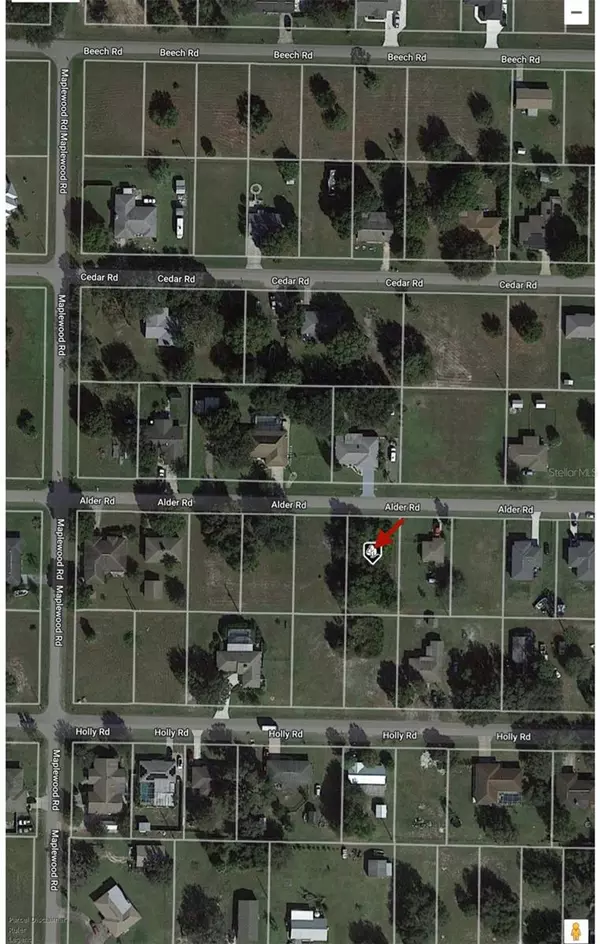 Punta Gorda, FL 33982,30169 ALDER RD