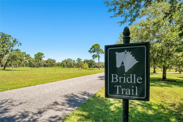 Astatula, FL 34705,26000 SPLENDID MEADOW CT