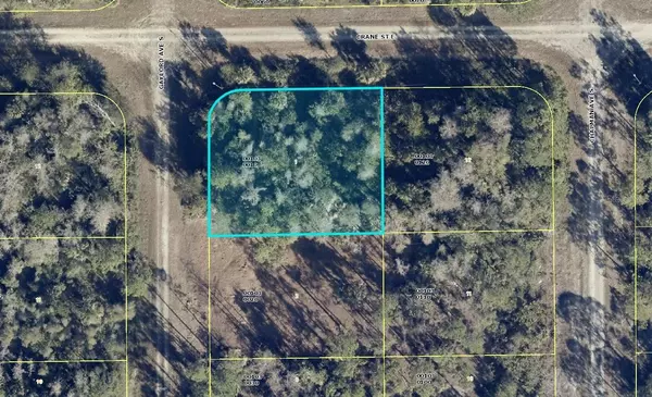 Lehigh Acres, FL 33974,843 GAYLORD AVE S