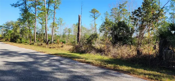 Eustis, FL 32736,LOT 5 BANYAN ST