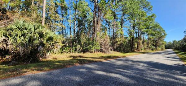 LOT 13 APRICOT AVE, Eustis, FL 32736