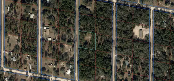 731 NE 137TH AVE, Williston, FL 32696