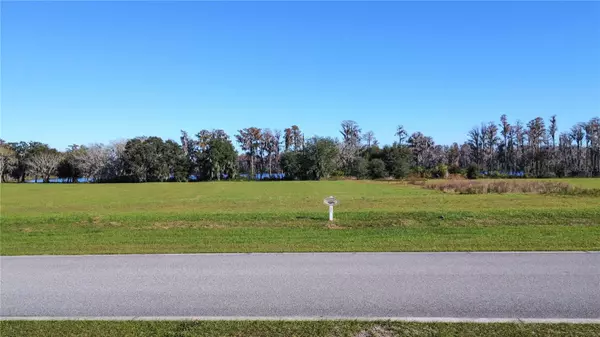 Groveland, FL 34736,5080 LAKESHORE RANCH RD