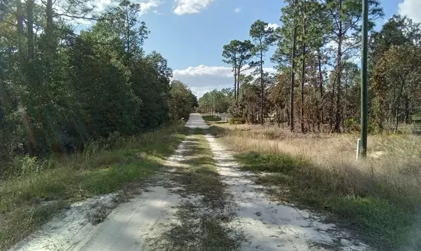 Dunnellon, FL 34432,00000 SW 95TH PL