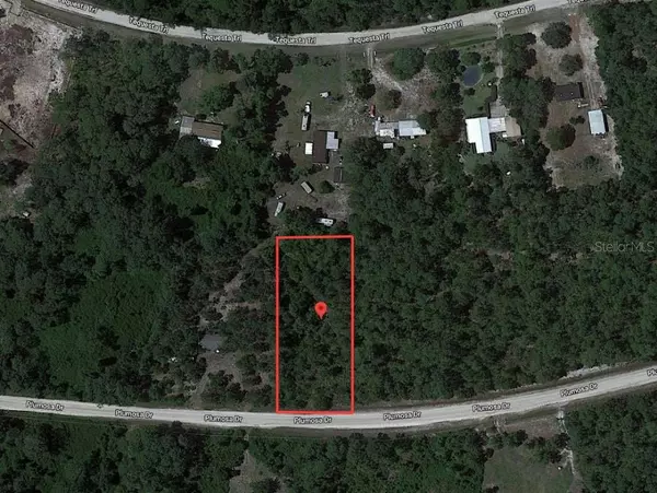 Georgetown, FL 32139,224 PLUMOSA DR