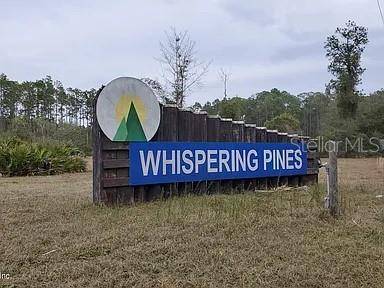 Georgetown, FL 32139,224 PLUMOSA DR
