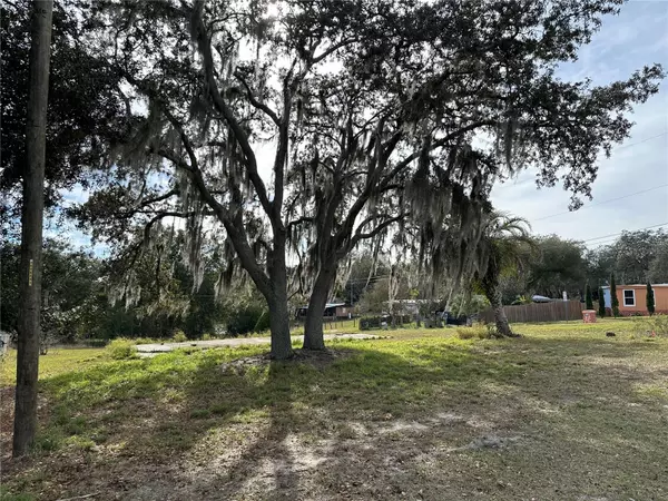 Fruitland Park, FL 34731,4524 PINE ST