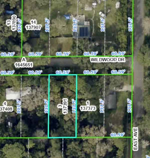 Brooksville, FL 34601,20128 WILDWOOD DR