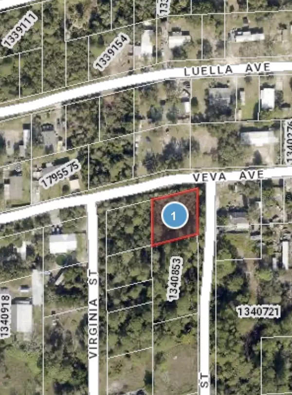 VEVA AVE, Paisley, FL 32767