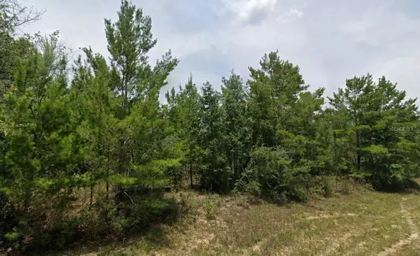 HAMPSHIRE BLVD, Chipley, FL 32428