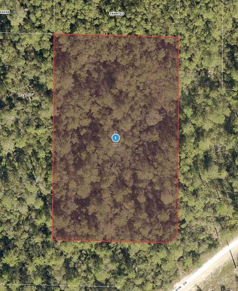 BUCK RUN DR, Paisley, FL 32767