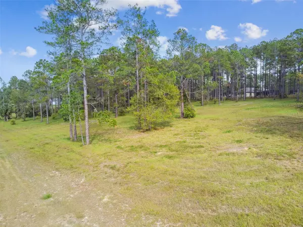 Eustis, FL 32736,35408 PINEGATE TRL