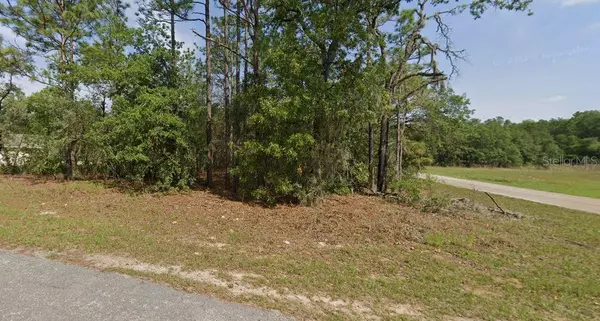 151 W BRIMSON PL, Citrus Springs, FL 34434