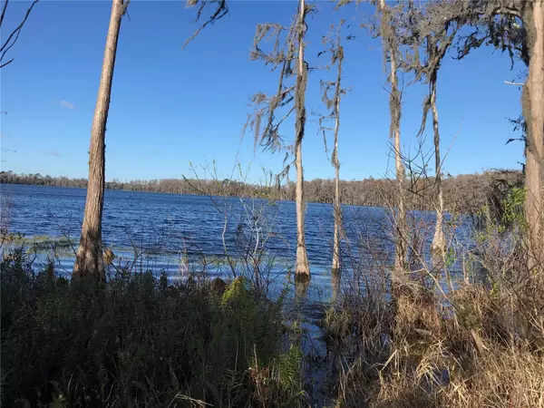 4950 N FORT CHRISTMAS RD, Christmas, FL 32709