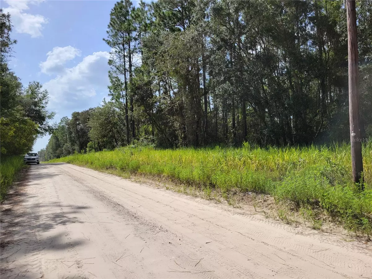 Bronson, FL 32621,NE 78TH LN