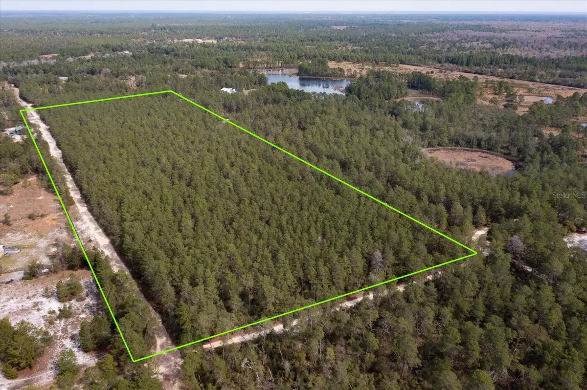 Paisley, FL 32767,PINEY ACRES TRL