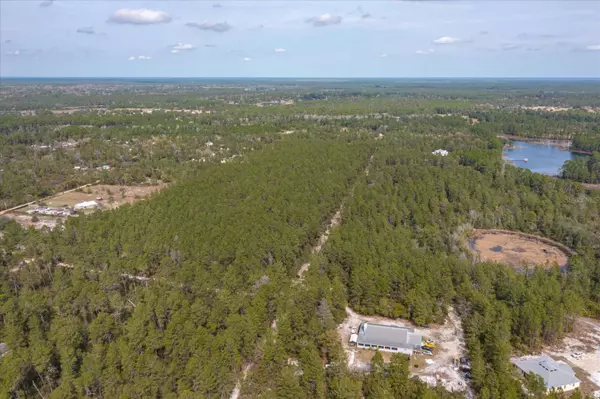 Paisley, FL 32767,PINEY ACRES TRL