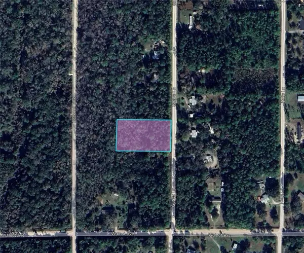 Bunnell, FL 32110,1886 GUAVA LN