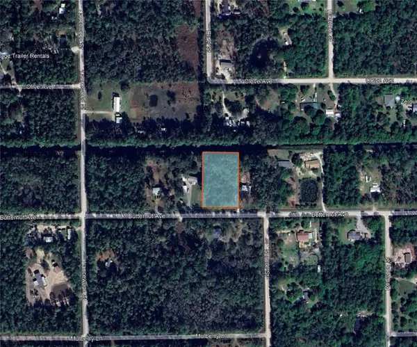 Bunnell, FL 32110,4824 BUTTERNUT AVE