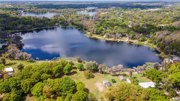 Odessa, FL 33556,16932 PARSONAGE LAKE LN