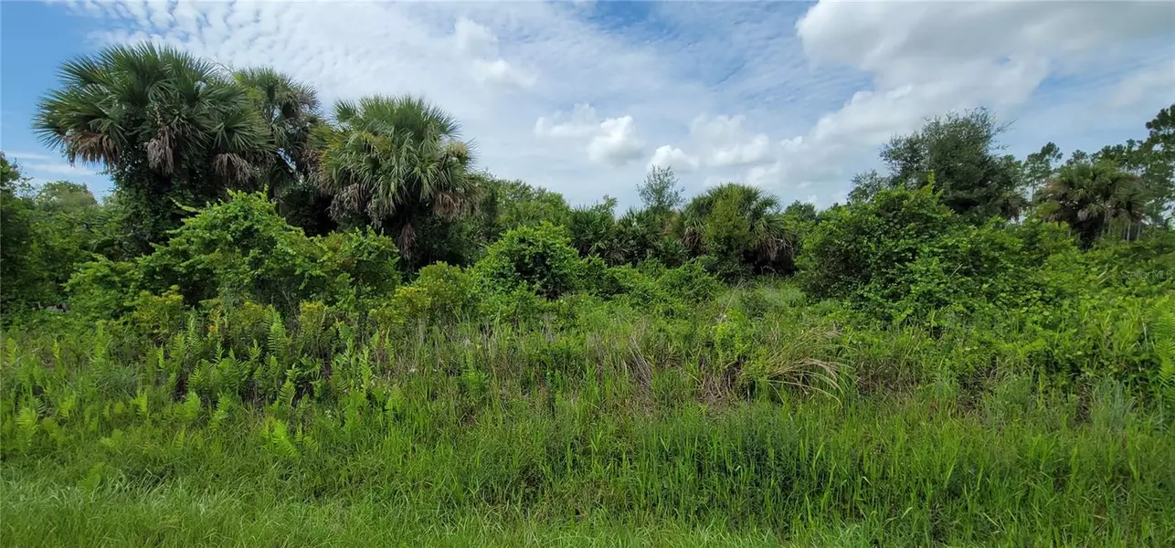 20535 NW 268TH ST, Okeechobee, FL 34972