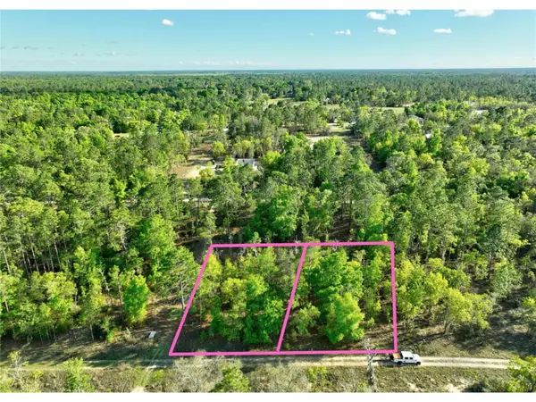 Williston, FL 32696,0 NE 16 PL