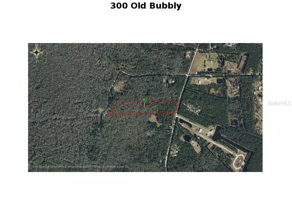 Pierson, FL 32180,300 OLD BUBBLY RD